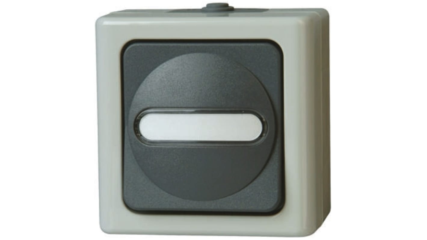 Kopp Grey Wet Room Switch