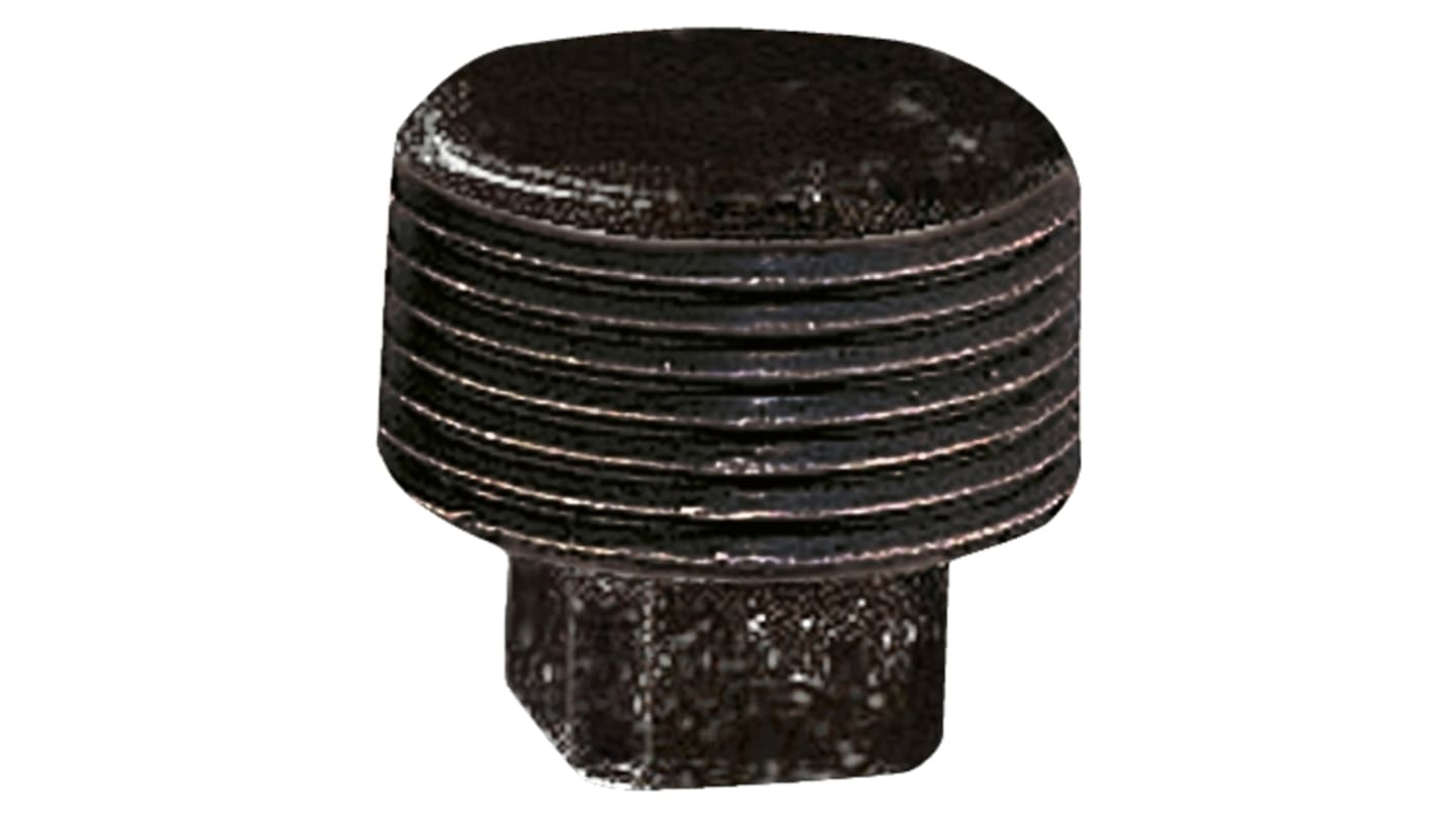 Georg Fischer Malleable Iron Fitting Plain Plug, 2 in BSPT Male (Connection 1)