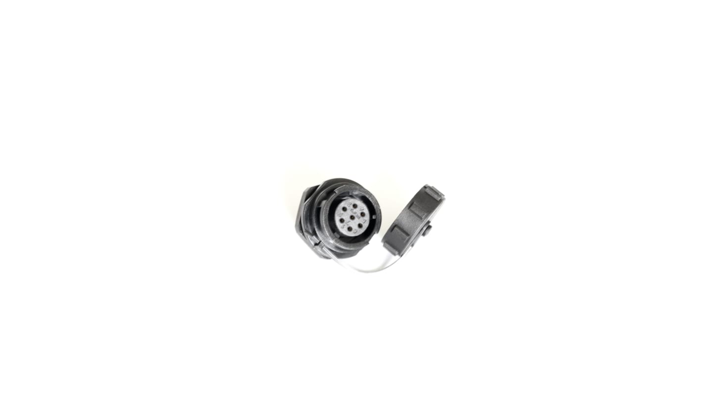 RS PRO Circular Connector, 7 Contacts, Panel Mount, Socket, Female, IP67