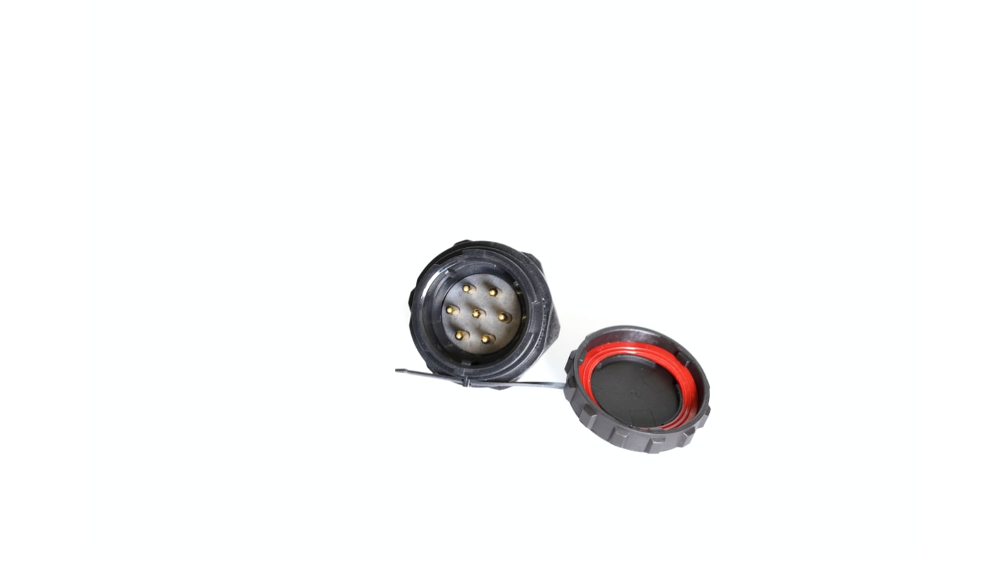 RS PRO Circular Connector, 7 Contacts, Panel Mount, Plug, Male, IP67