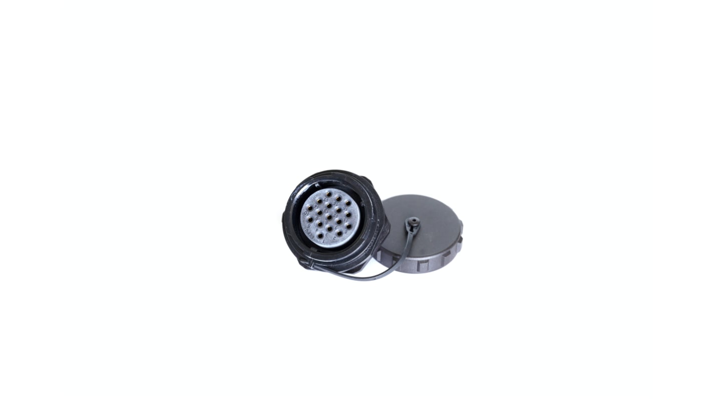 Conector circular RS PRO hembra de 17 vías hembra, Montaje en Panel, IP67