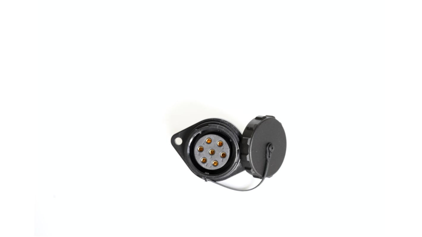 RS PRO Circular Connector, 7 Contacts, Panel Mount, Socket, Female, IP67