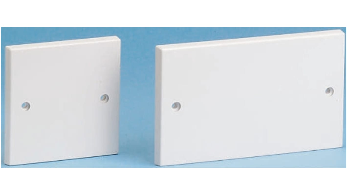 White 2 Gang Blanking Plate Flush, Surface Mount