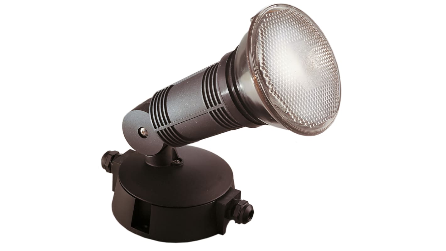 Lampada alogena per esterno Aric, 150 W