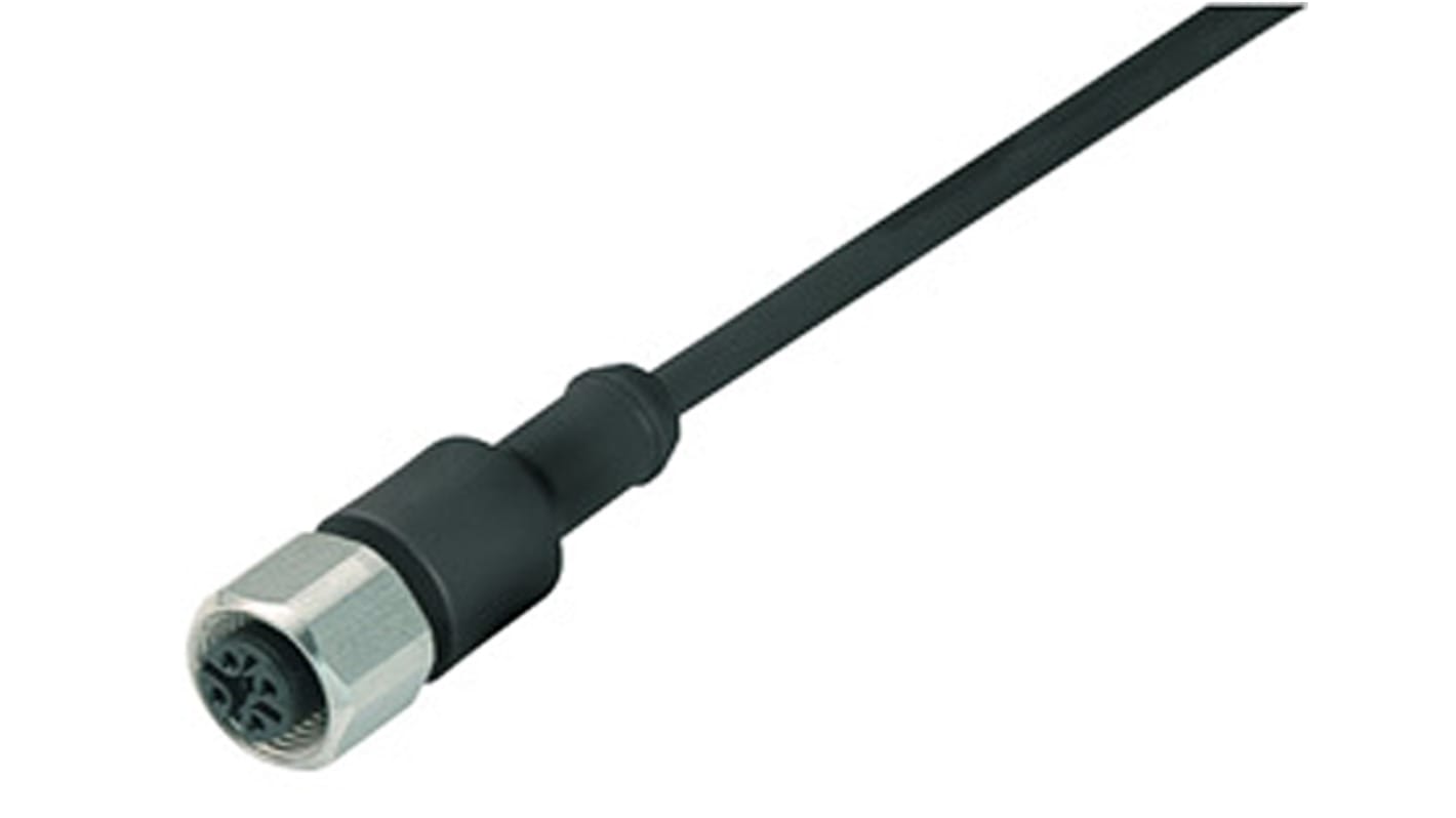Cable de conexión Binder, con. A M12 Hembra, 3 polos, con. B Sin terminación, cod.: A, long. 5m