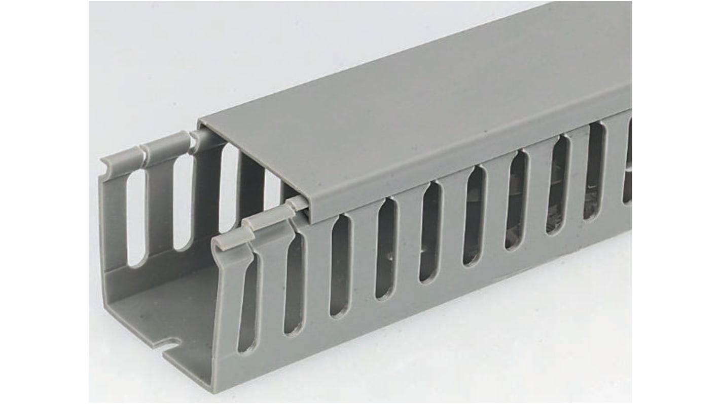 RS PRO Grey Slotted Panel Trunking - Open Slot, W40 mm x D60mm, L2m, PVC