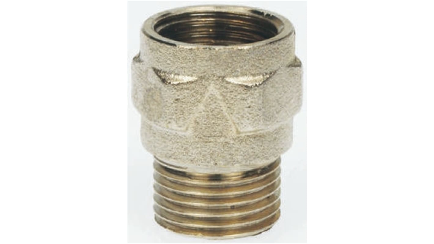 RS PRO Brass Single Non Return Valve, BSP 2in, 16 bar