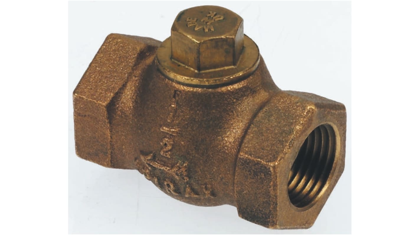 Spirax Sarco Bronze Single Check Valve, BSPP 1in, 14 bar