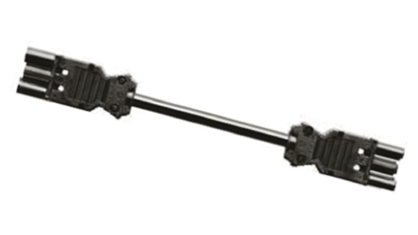 Wieland GST18i Series Cable Assembly, 3-Pole, Male to Female, 16A, IP40