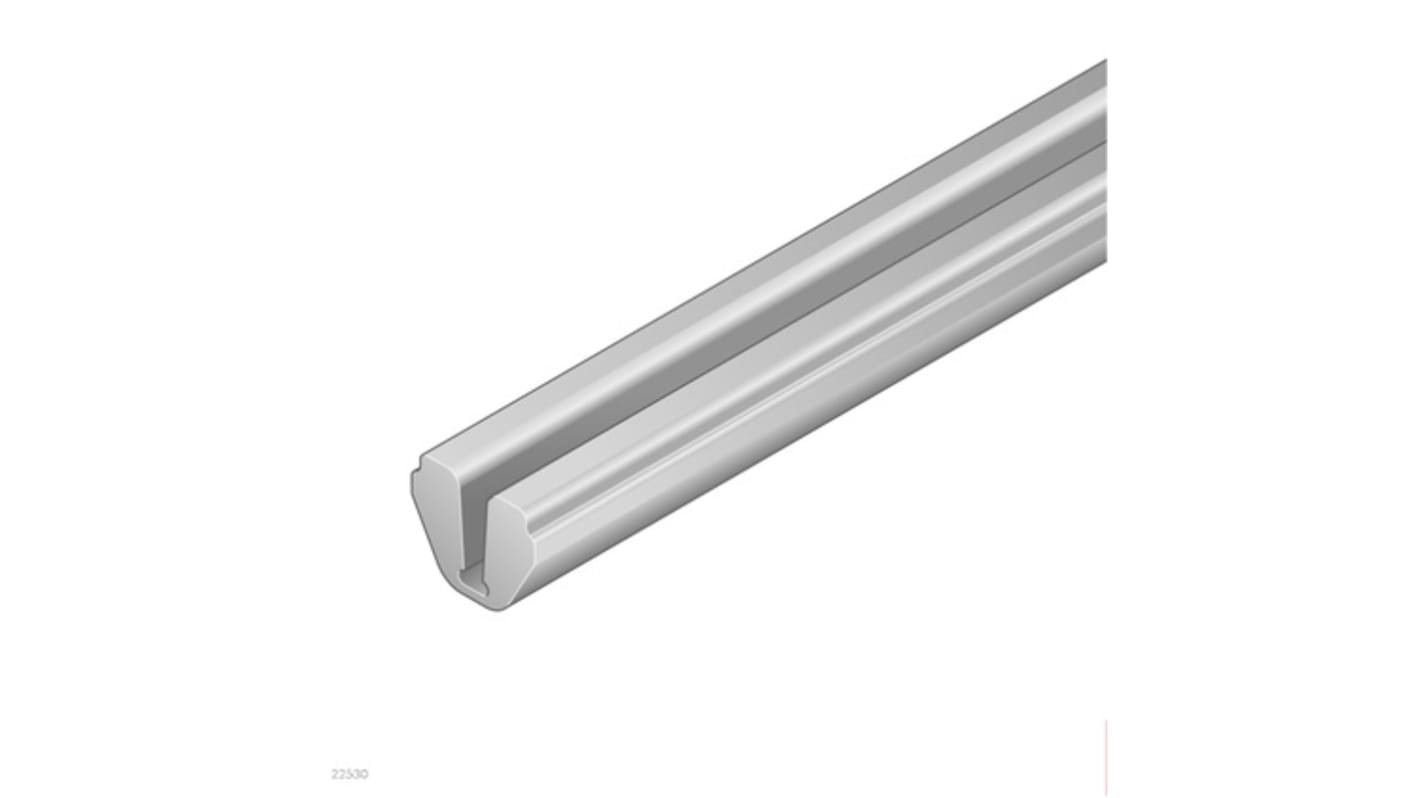 Krycí lišta, skupina produktů: Bosch Rexroth, Světle šedá, PVC, pasuje do drážky : 10mm, délka: 2m, pasuje do profilu: