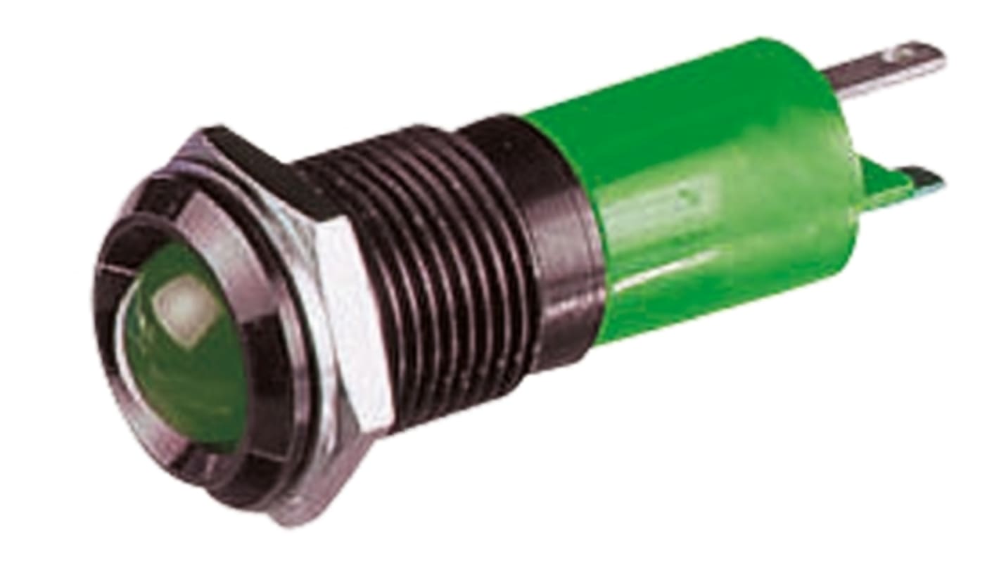 Indicatore da pannello CML Innovative Technologies Verde  a LED, 12V, Sporgente, foro da 14mm