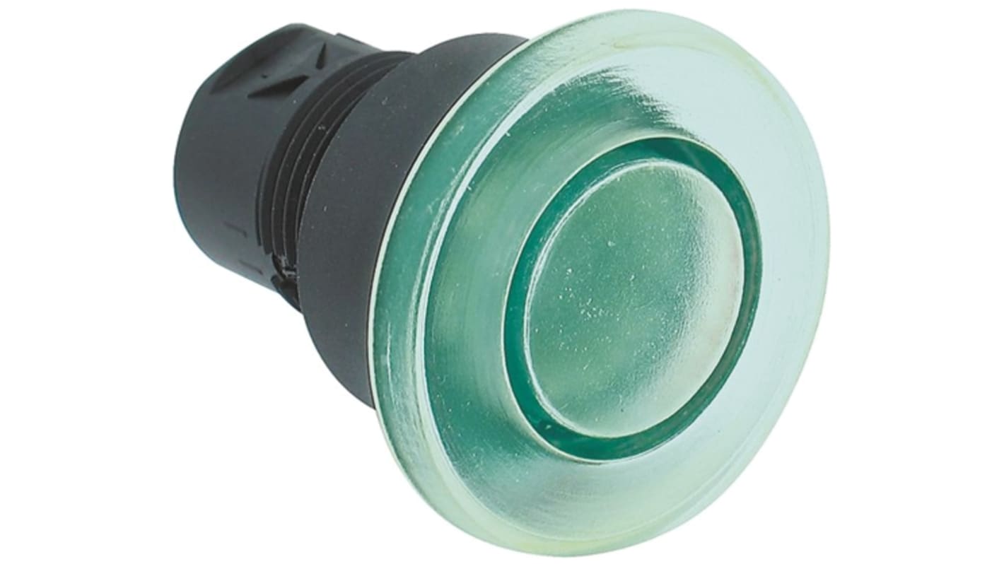 Allen Bradley 800F Series Green Illuminated Momentary Push Button Head, 22mm Cutout, IP65