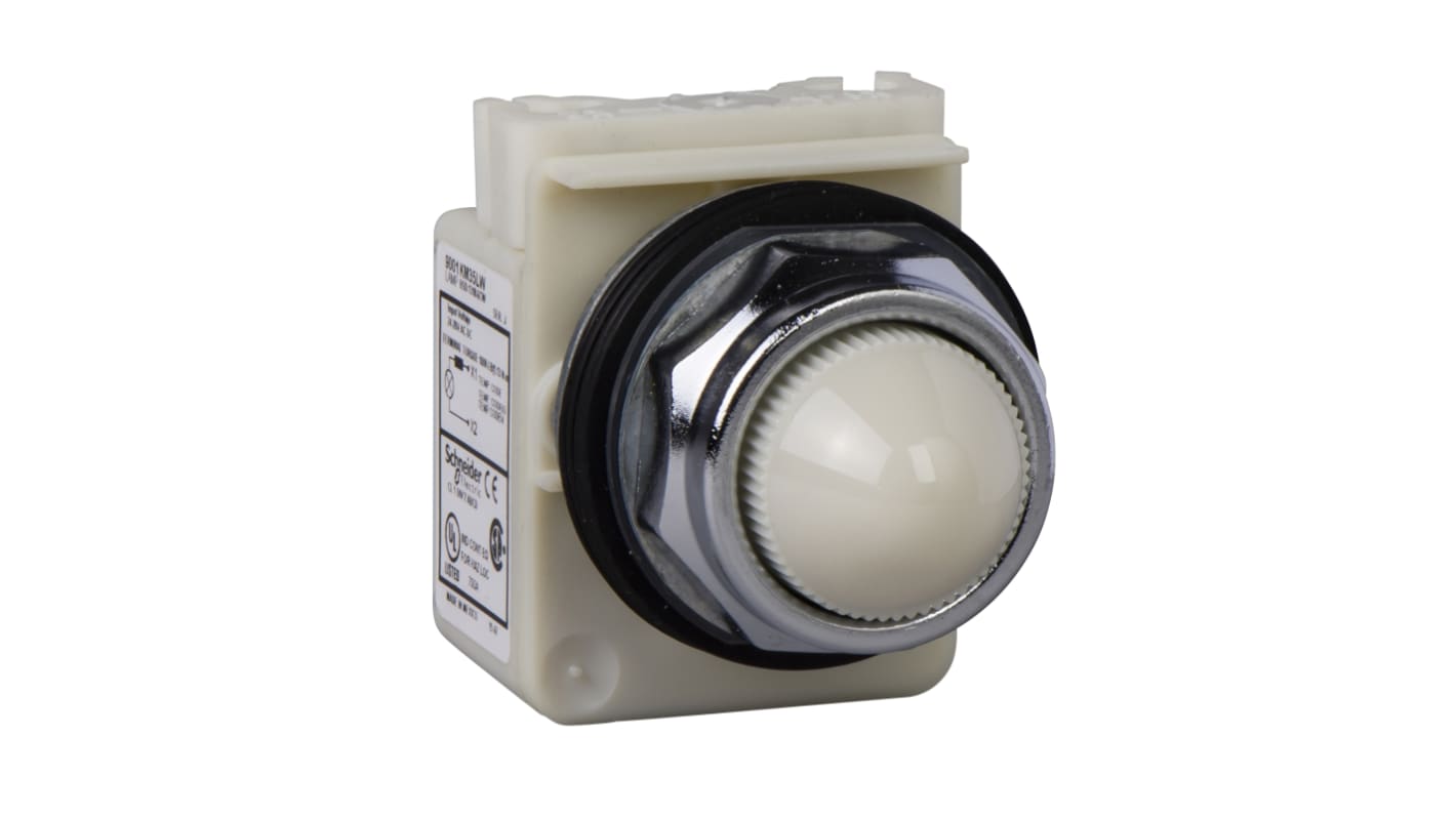 Spia 9001KP38LWW9, LED, foro 30mm, IP66