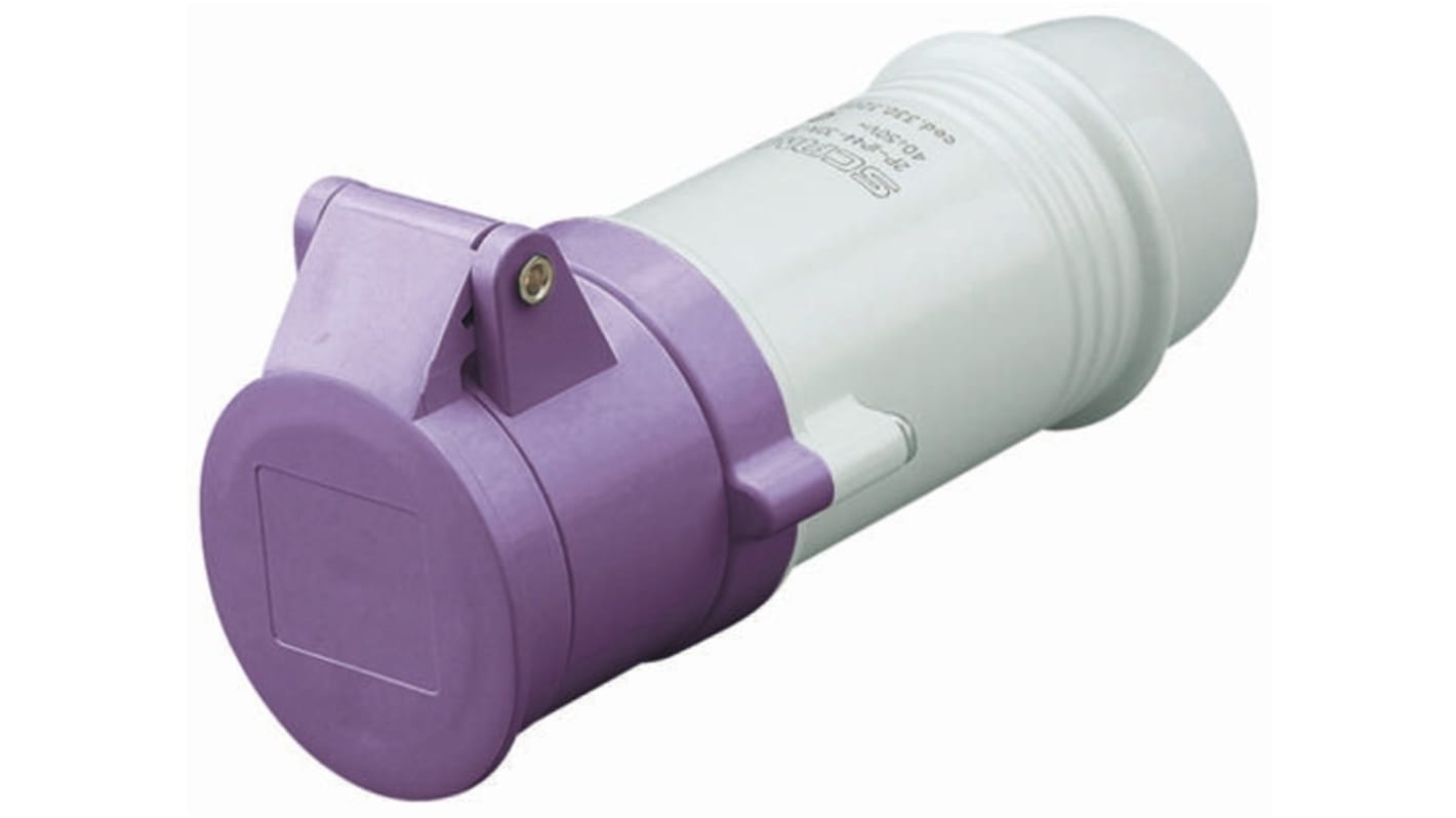 Conector de potencia industrial Hembra, Formato 2P, Orientación Recto, Morado, 20 → 25 V., 16A, IP44