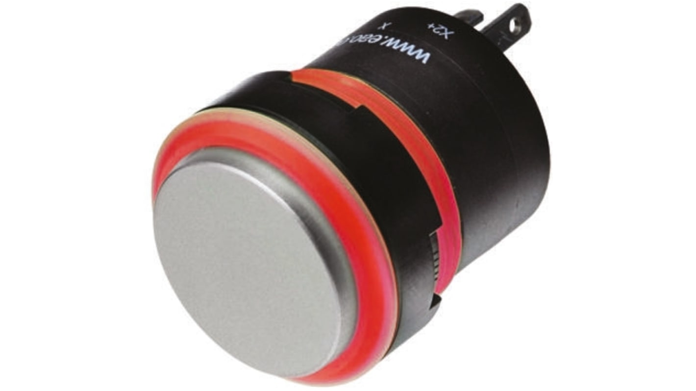 EAO Illuminated Push Button Switch, Momentary, Panel Mount, 22.5mm Cutout, SPST, IP67