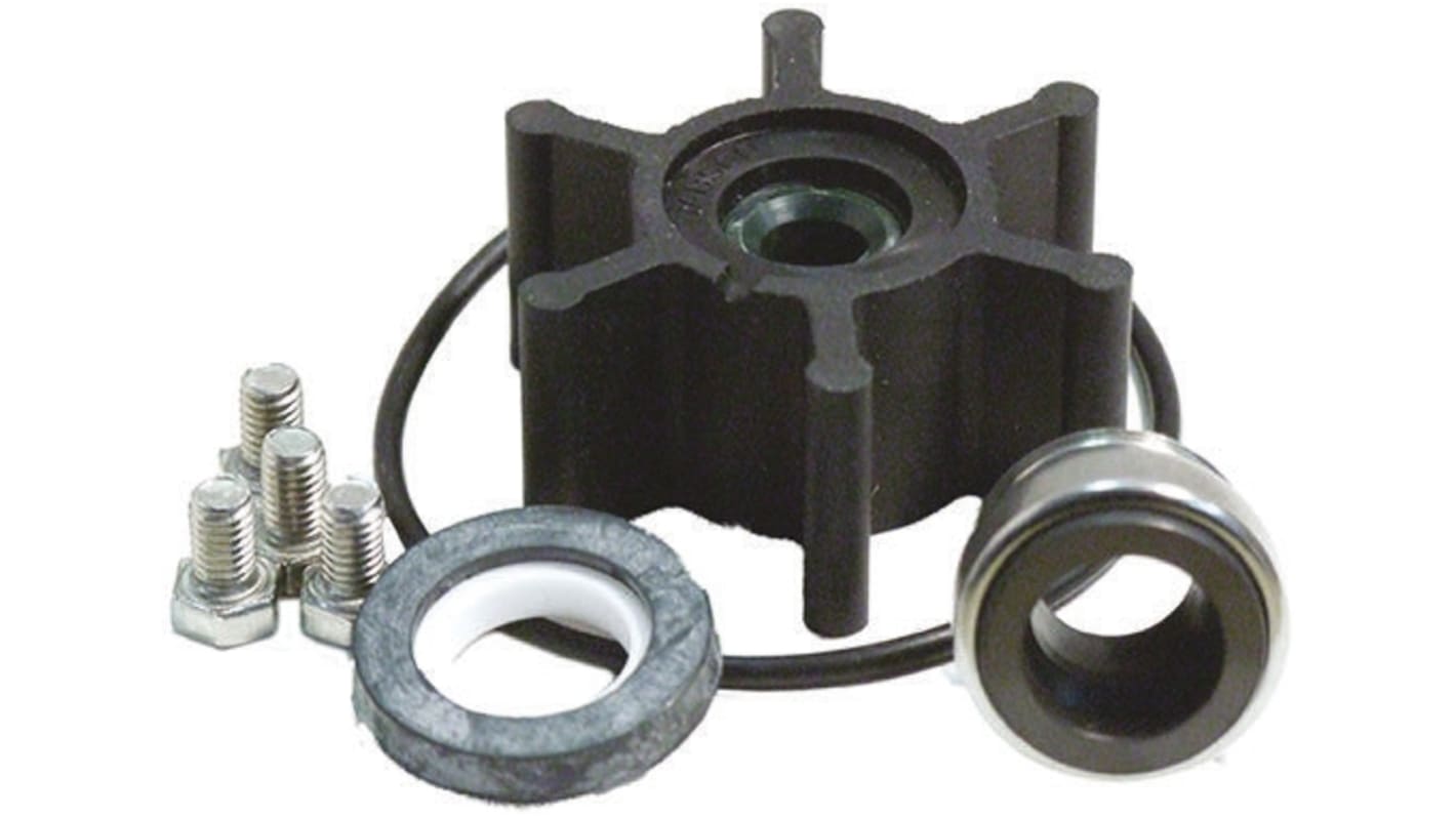 SK4160003 Xylem Jabsco Pump Accessory, Pump Spares Kit for use with