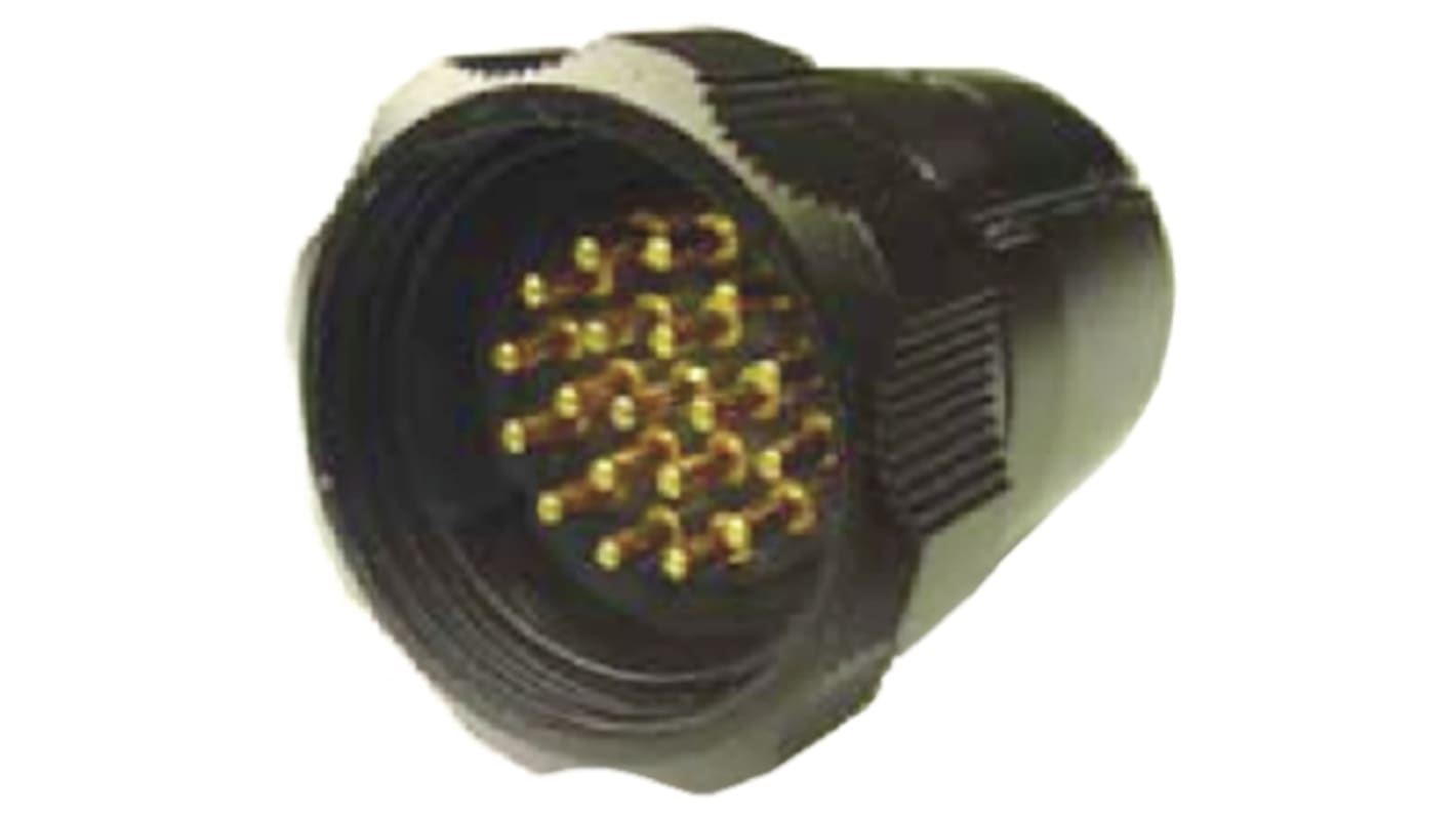 Amphenol Socapex Circular Connector, 19 Contacts, Cable Mount, Plug, Male, IP55, SL61 Series