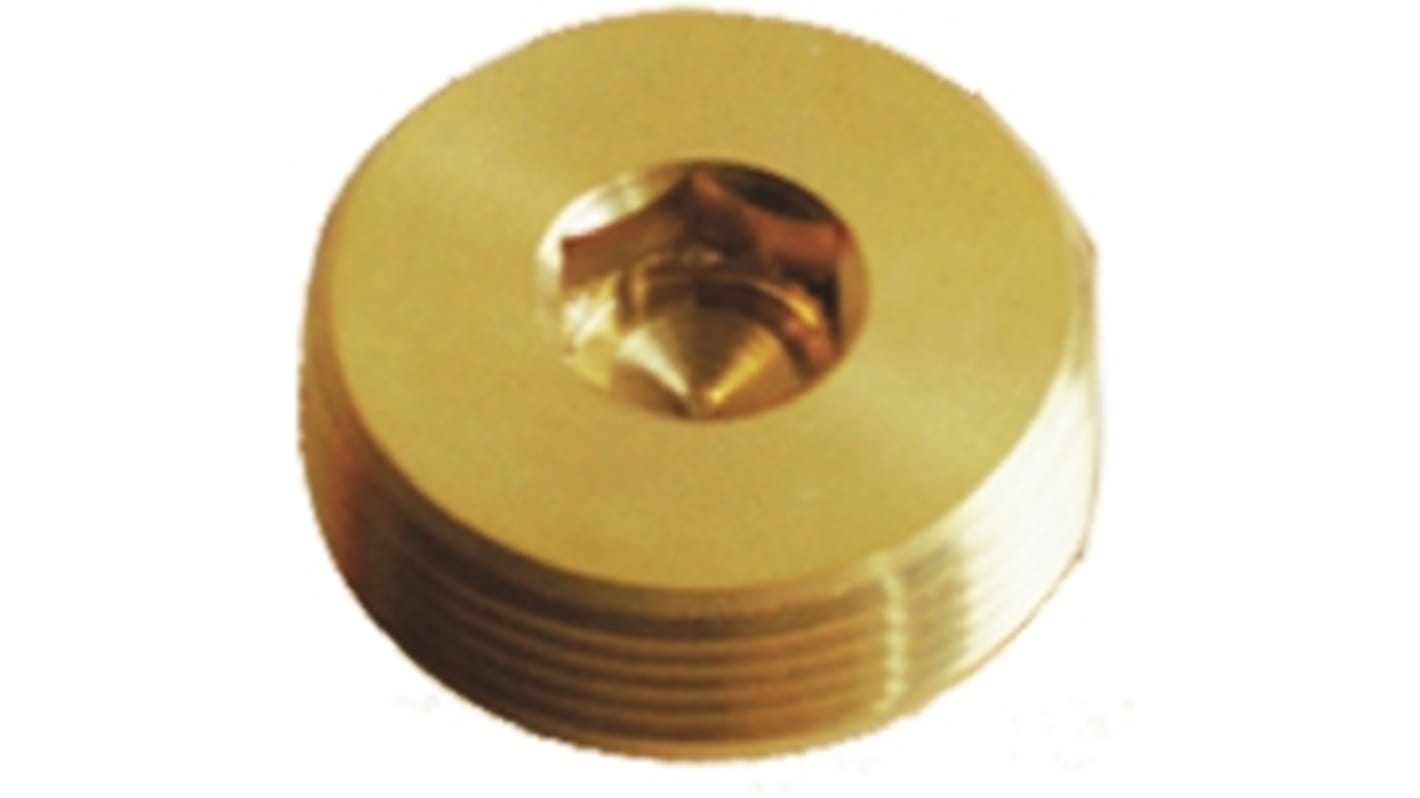 Kopex Stopping Plug, Conduit Fitting, 32mm Nominal Size, M32, Brass