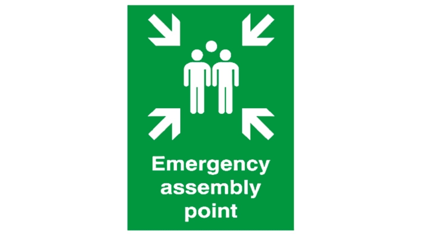 Segnale di sicurezza antincendio RS PRO "Emergency assembly point, in Inglese, 594 mm x 420mm Segnale