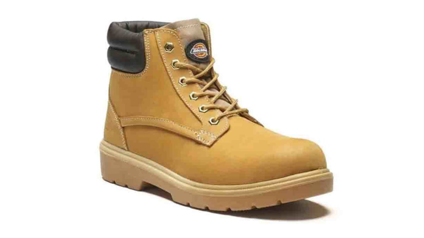 Dickies Donegal Honey Steel Toe Capped Men's Safety Boots, UK 7, EU 41