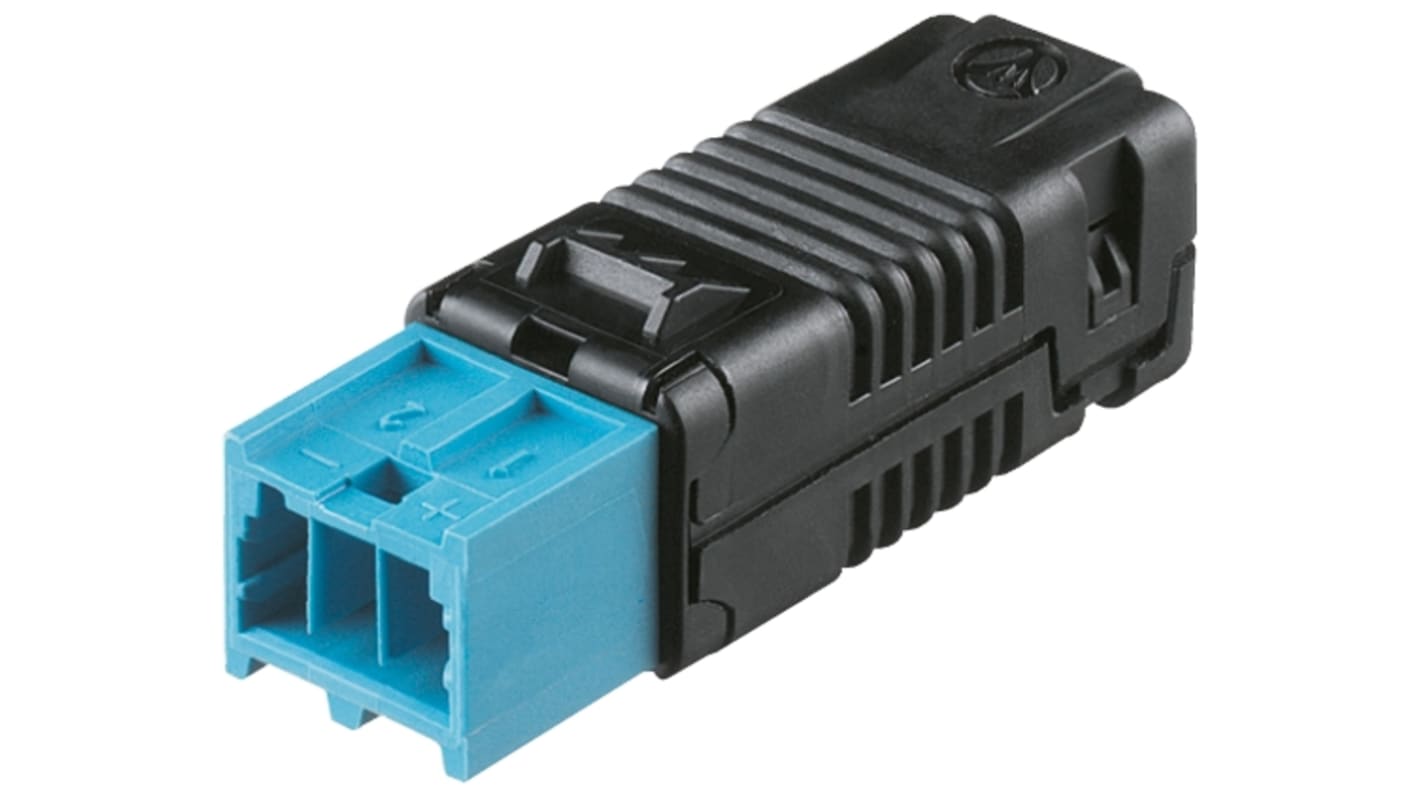 Wieland BST14i Series Connector, 2-Pole, Male, Cable Mount, 3A, IP20