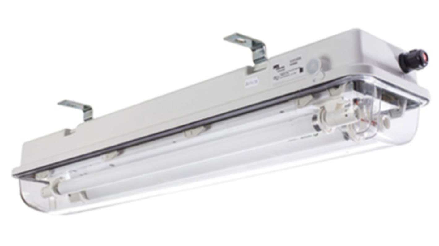 DTS 2 x 18 W Bulkhead Light Fitting, 1, 2, 21, 22, Fluorescent, Temp T4, T5, ATEX