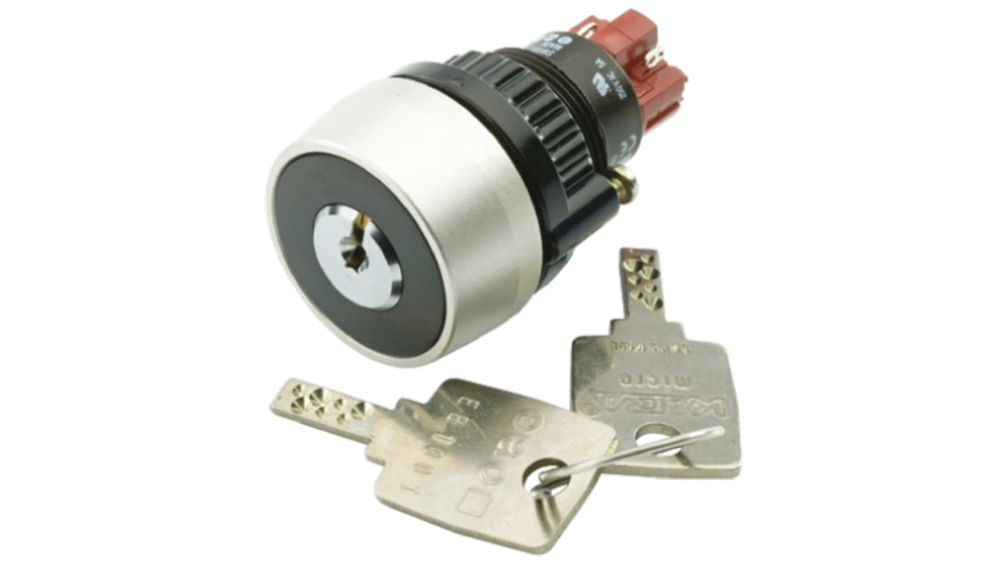 IP65 Keylock Switch, (NC + NO) per element, 5 A@ 250 V ac 2-Way Flat-Key