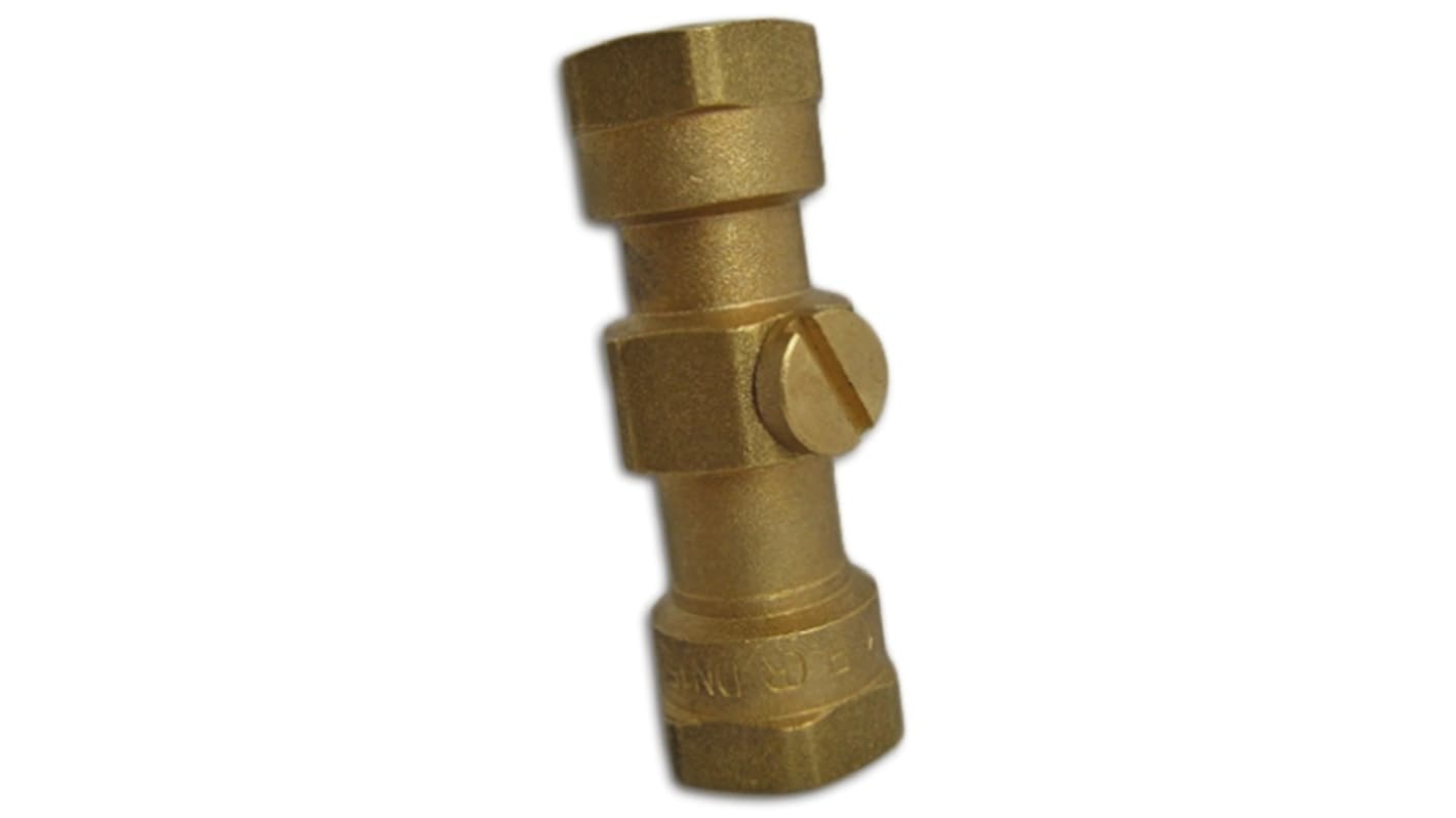 Reliance Brass Double Non Return Valve, BSP 1/2in, 10 bar