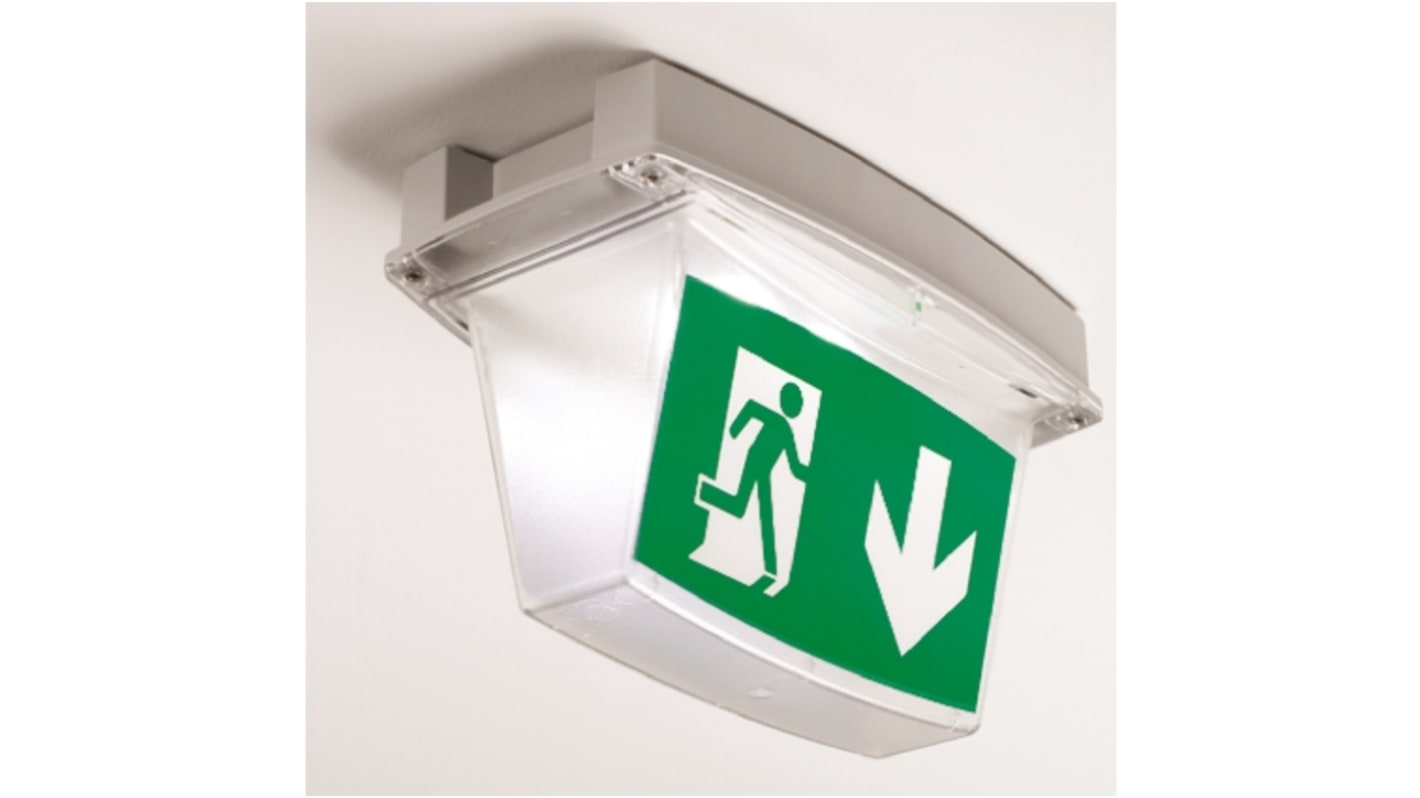 Lampada di emergenza LED Crompton Lighting, L. 263 mm, 2 x 1 W, 2 x 1, autonomia 3h