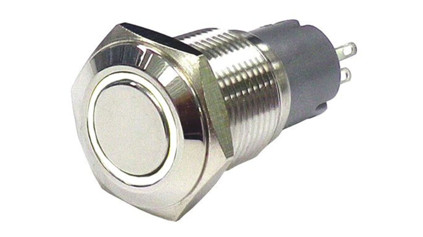 RS PRO Illuminated Push Button Switch, Momentary, Panel Mount, 16mm Cutout, SPDT, White LED, 250V ac, IP65, IP67