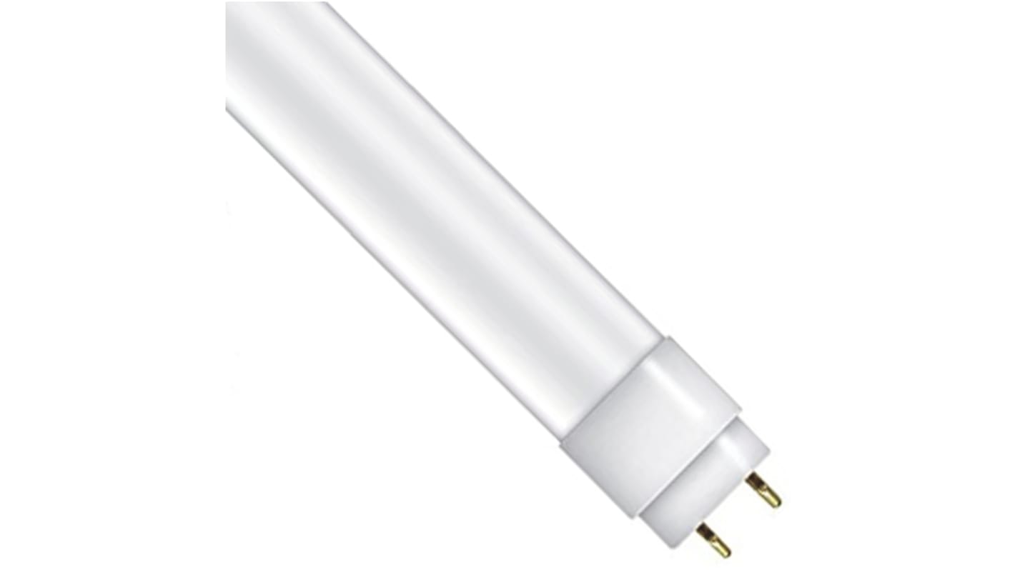 Tube fluorescent à LED T8 Osram, Neutre 600mm, 8 W, 4000K, G13