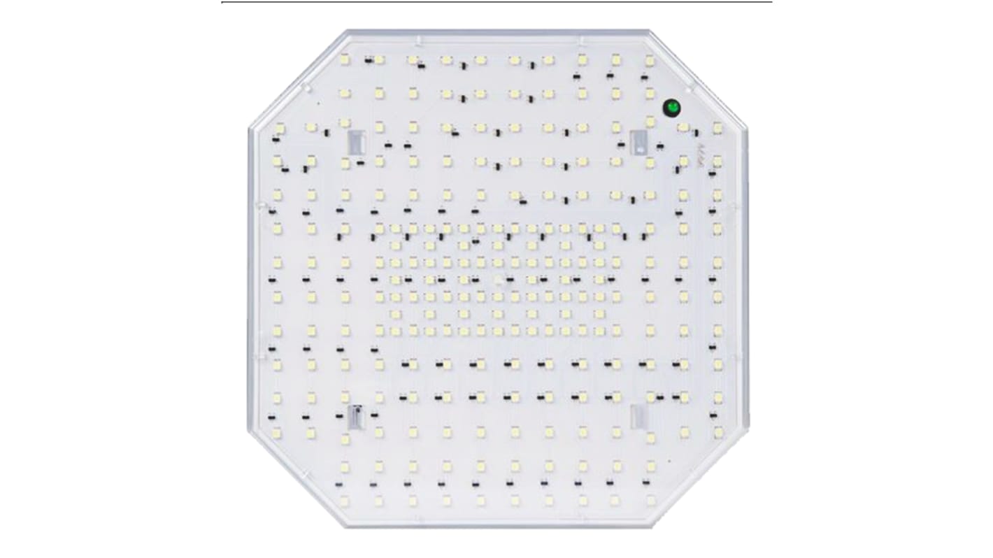 RS PRO 4-Pin LED Cluster Light, Warm White, 230 V ac