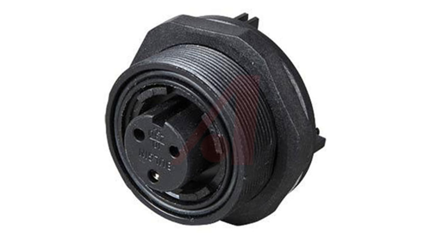 Bulgin Circular Connector, 3 Contacts, Rear Mount, Socket, Female, IP68, Standard Buccaneer Series