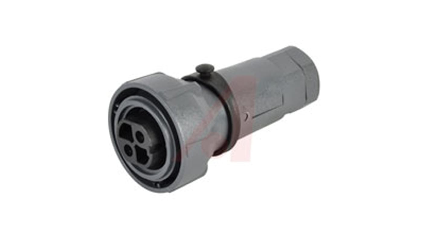 Bulgin Connector, 2 Contacts, Panel Mount, Socket, Female, IP66, IP68, IP69K, Buccaneer 7000 Series