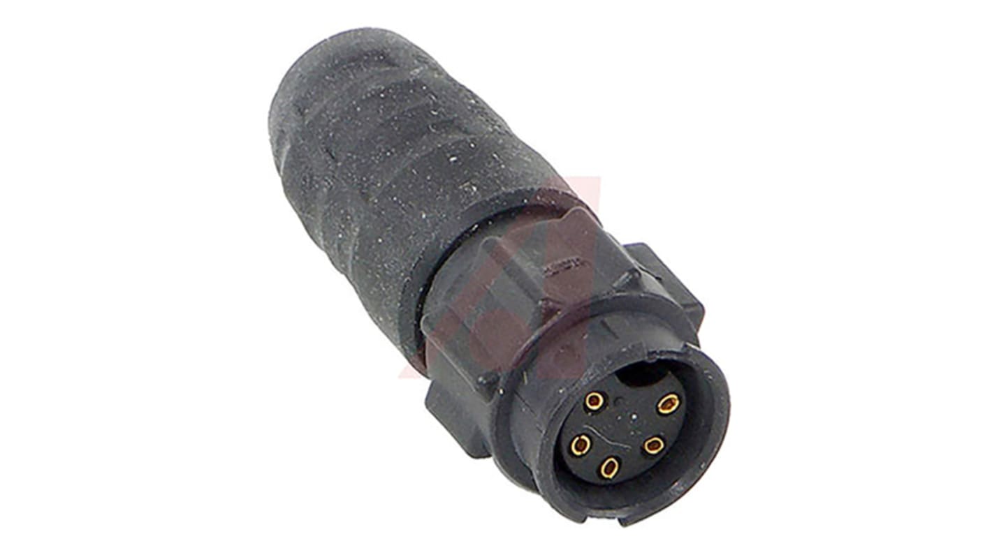 Conector circular Switchcraft macho serie EN3 de 5 vías hembra, montaje aéreo, IP68, IP69K