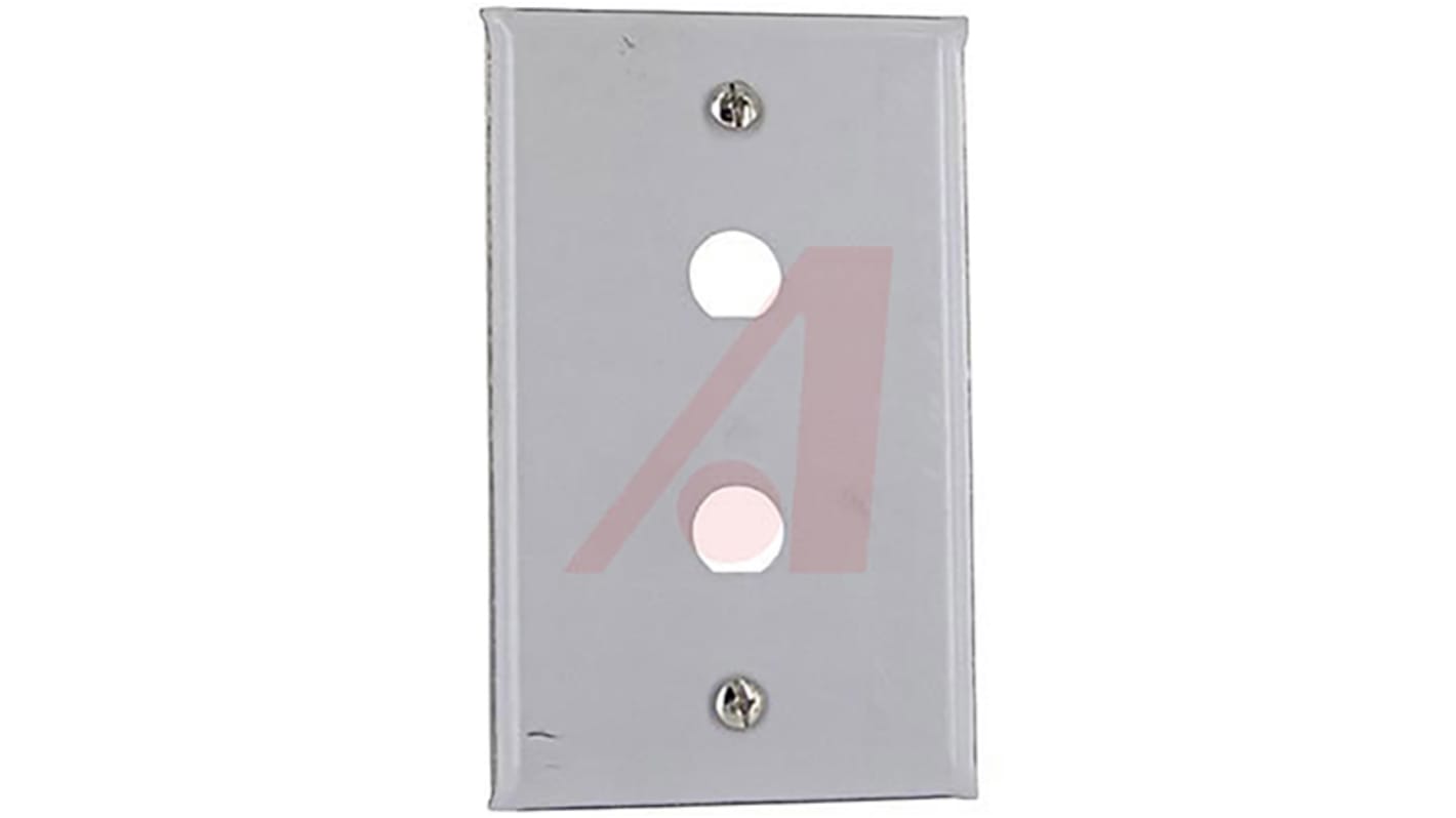 BNC, TNC Silver 2 Outlet Wall Plate Module, Wall Mount