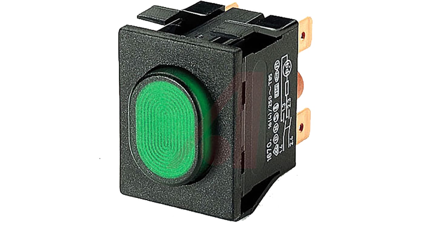 Marquardt Illuminated Push Button Switch, Momentary, Panel Mount, DPDT, Green LED, 250V ac, IP54