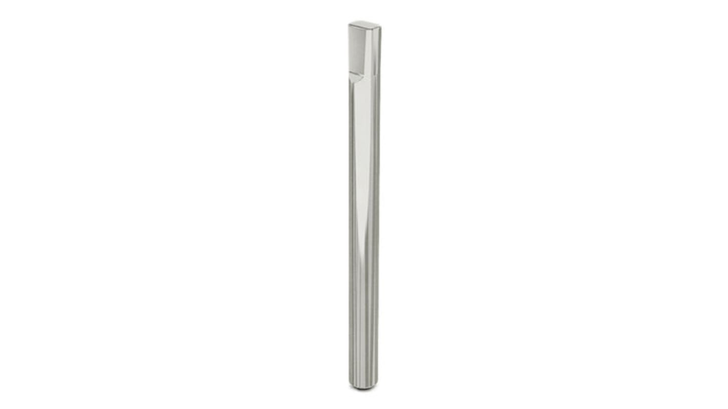 Pinet Stainless Steel Hinge Pin, 80mm