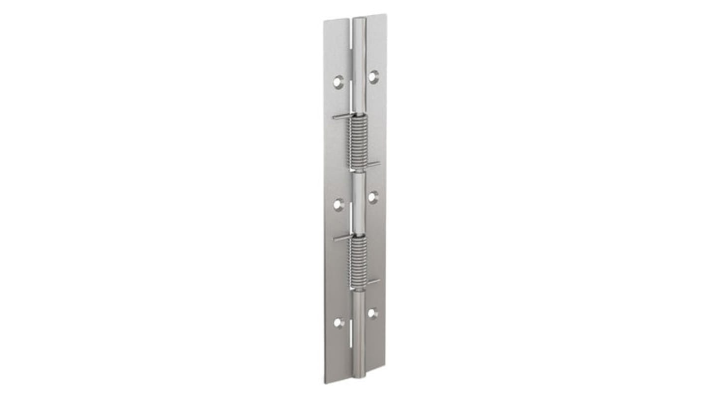 Pinet Stainless Steel Spring Hinge, 180mm x 40mm x 1.5mm