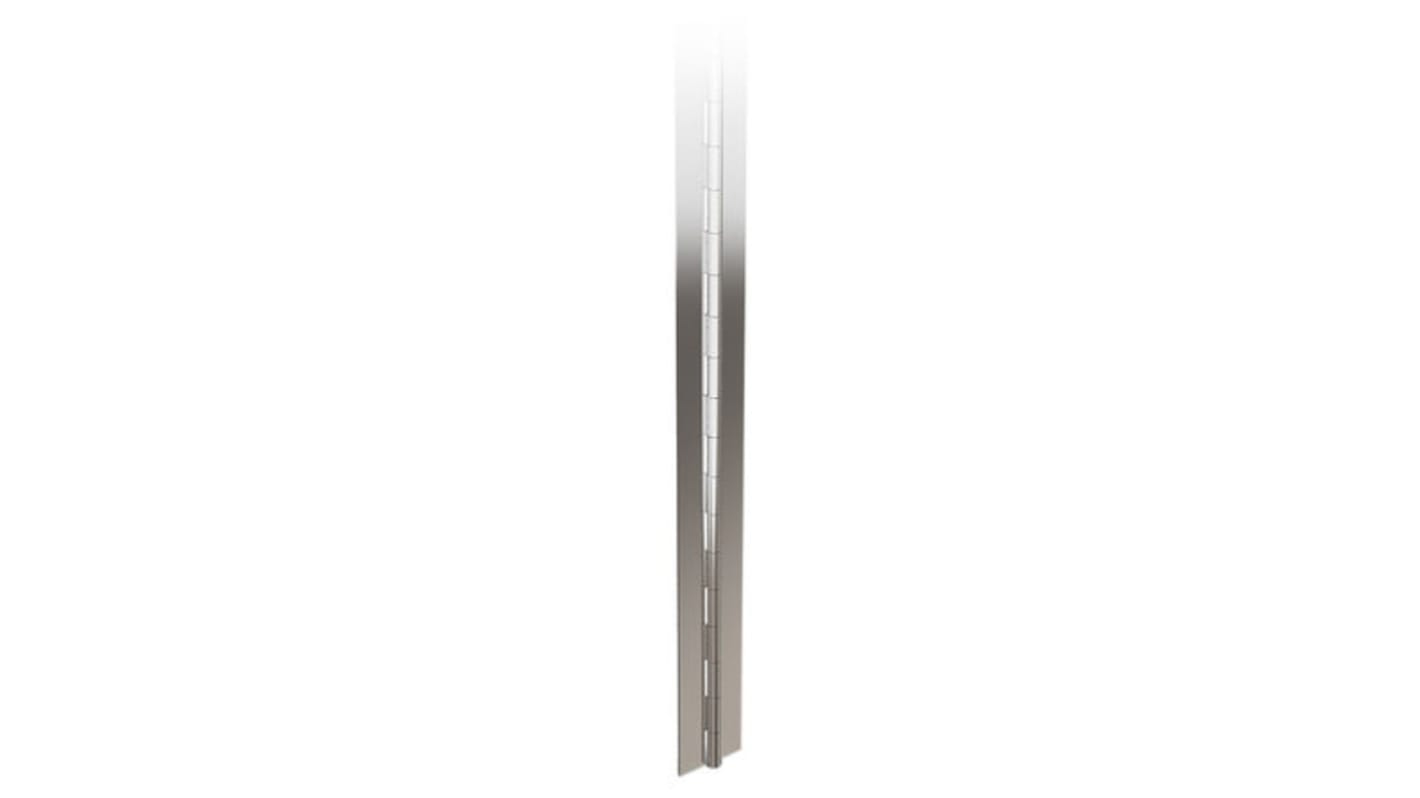 Cerniera piana Cerniera piana Pinet, in Acciaio inox, 2040mm x 50mm x 1.2mm, Oscillazione libera