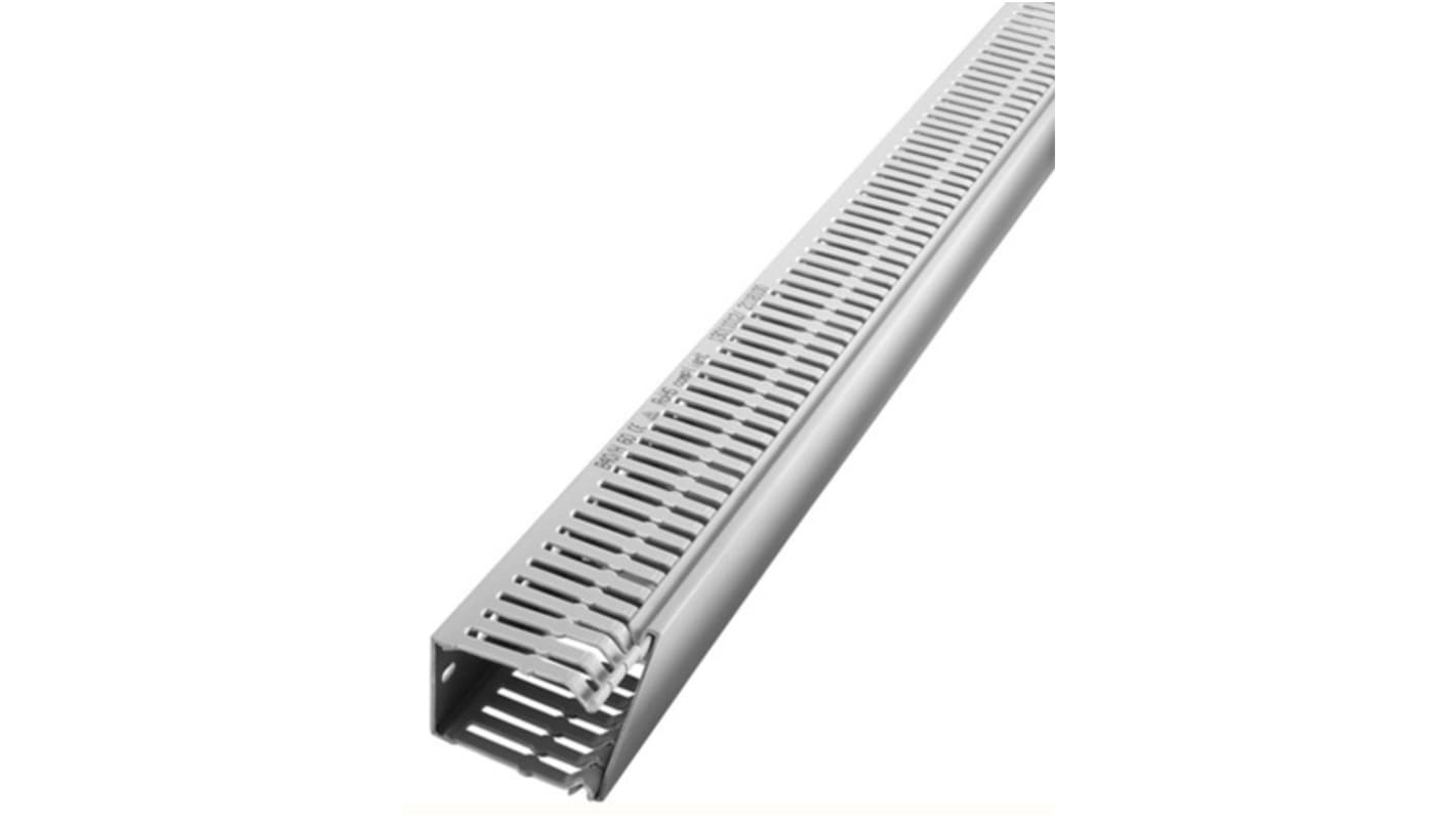 RS PRO Grey Slotted Panel Trunking - Open Slot, W100 mm x D60mm, L2m, PVC