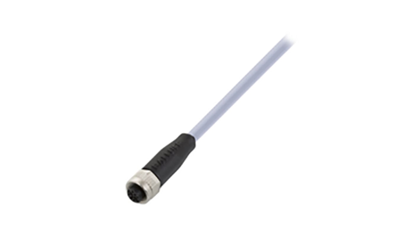 Cable de conexión BALLUFF, con. A M8 Hembra, 4 polos, con. B Sin terminación, 4 polos, long. 2m, 30 V ac / dc, IP65