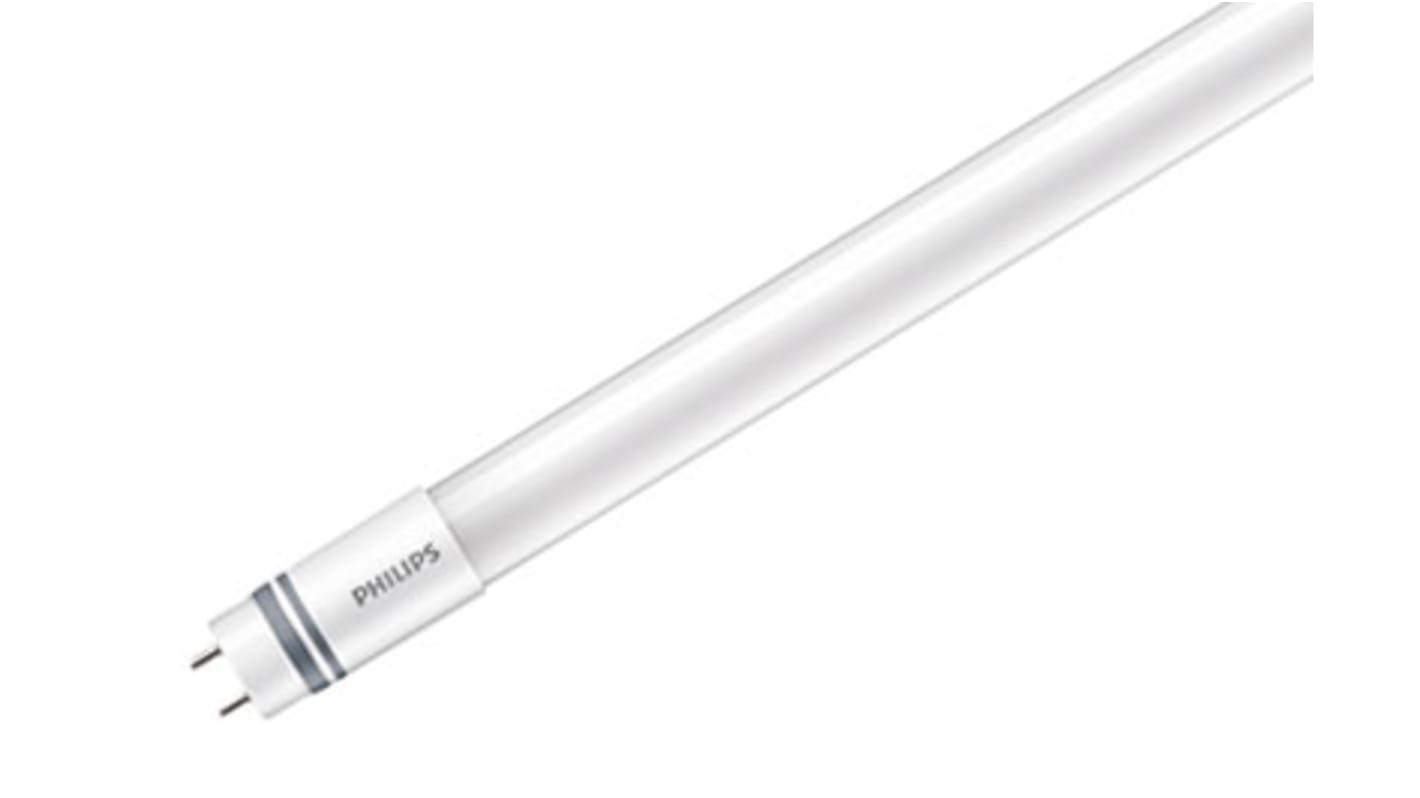 Tubes LED T8 Philips Lighting, Neutre 1500mm, 20 W, 4000K, G13