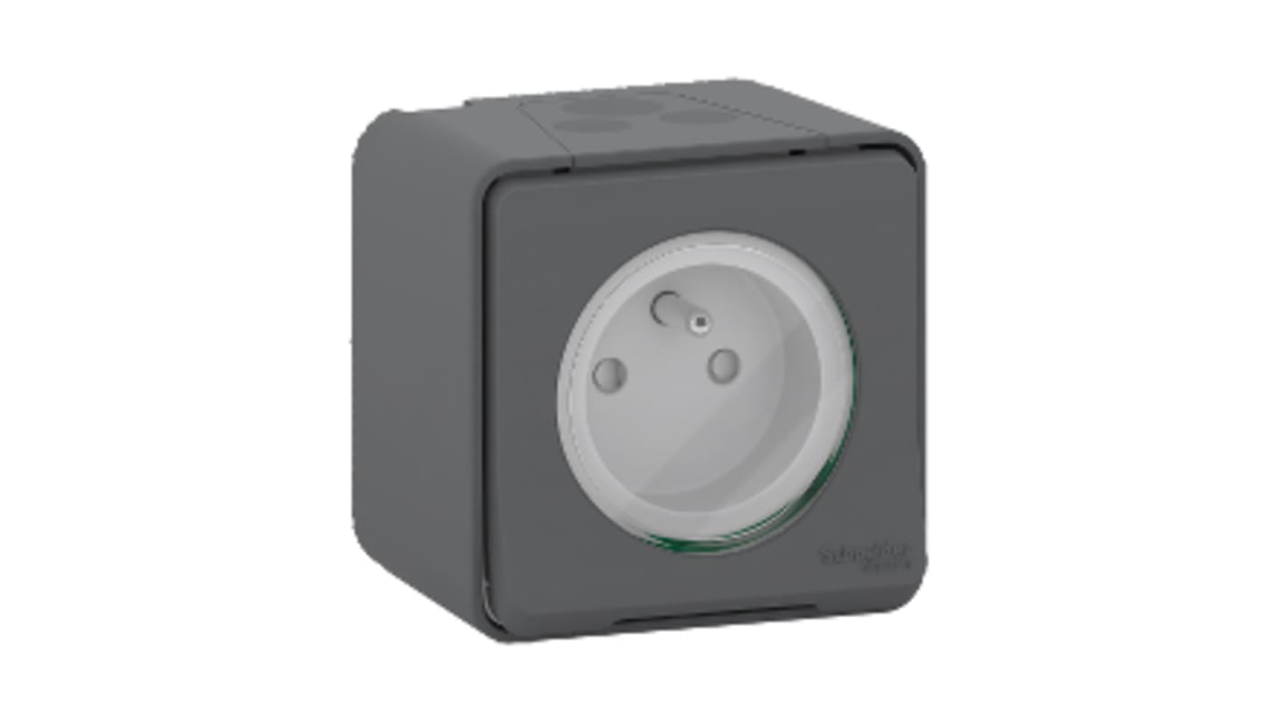 Toma eléctrica Schneider Electric, Gris Exterior, 16A, IK08, IP55 250 V