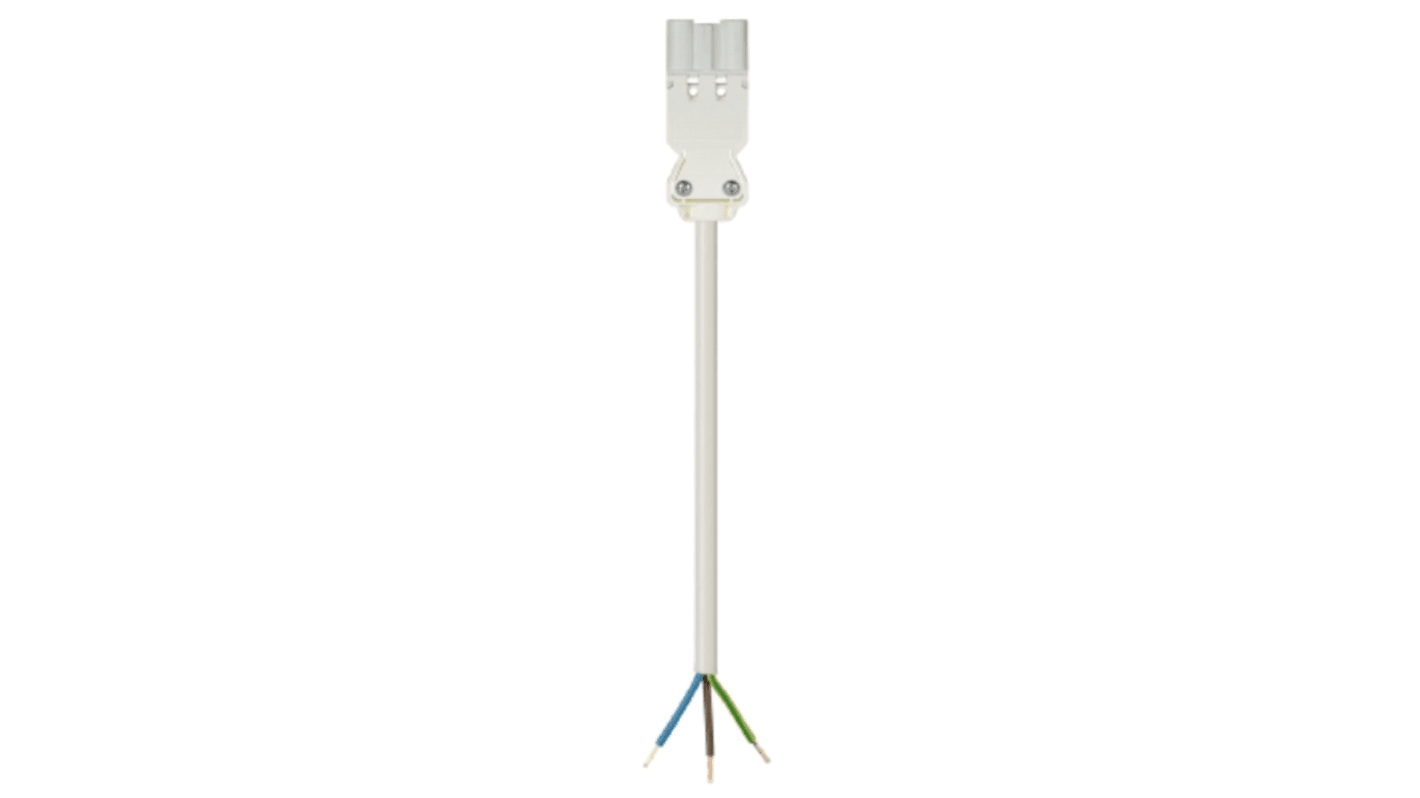 Wieland Stecker GST18i3 Leuchtensteckverbinder, Kabelgarnitur, Kontakte: 3, 16A, Weiß, L. 6m, 1,5 mm²