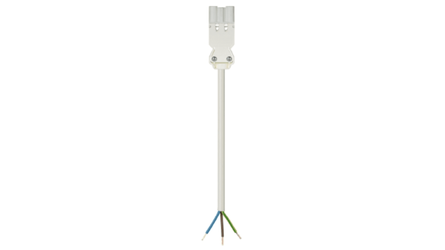 Wieland GST18i3 Series Cable Assembly, 3-Pole, Male, 16A, IP40