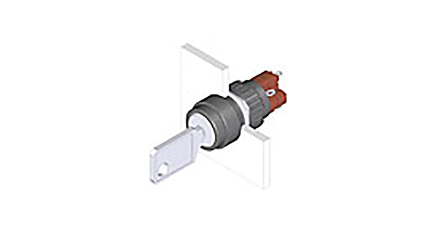 IP65 Keylock Switch, NC/NO, 5 A 2-Way Standard-Key