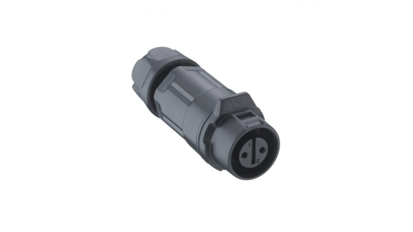 Conector circular Lumberg hembra serie 02 de 3 vías hembra, tamaño carcasa 12, montaje aéreo, IP67