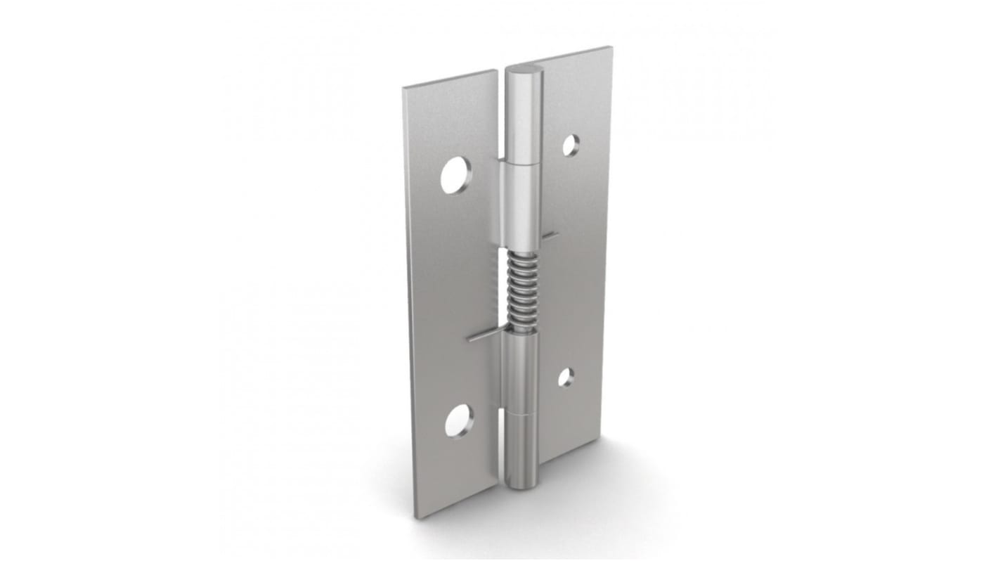 Pinet Stainless Steel Spring Hinge, 60mm x 35mm x 1mm