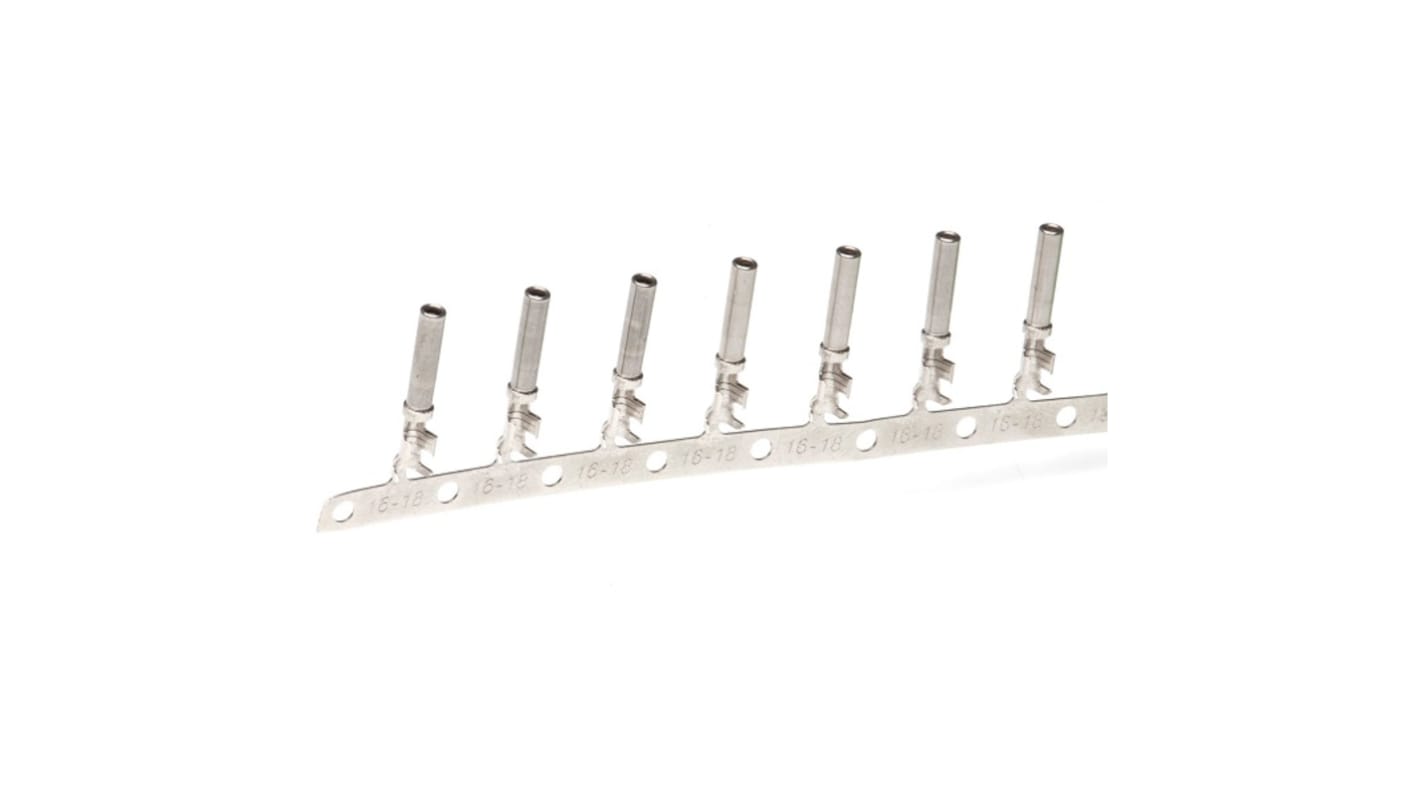 1062-16-0622 | Deutsch, 1062-16-06 Female | RS